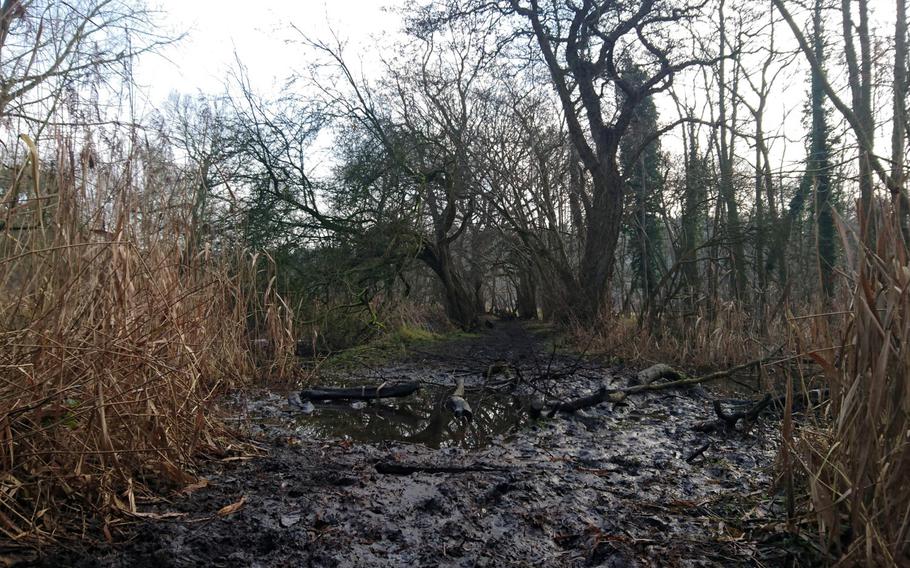 A muddy hazard on the Peddars Way trail in Suffolk, England, Feb. 6, 2017. The trail is said to be a haunt of the ghostly hound Black Shuck -- a black phantom dog that represents death in English folklore.