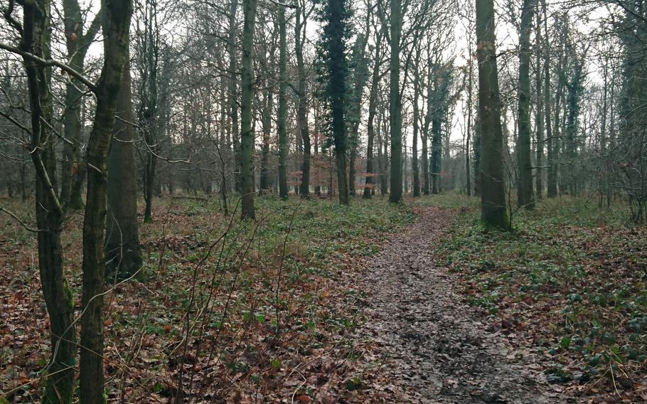 A forested stretch of the Peddars Way trail in Suffolk, England, Feb. 6, 2017. Peddars Way combines with the Norfolk Coast Path as one of the 15 National Trails in England and Wales.