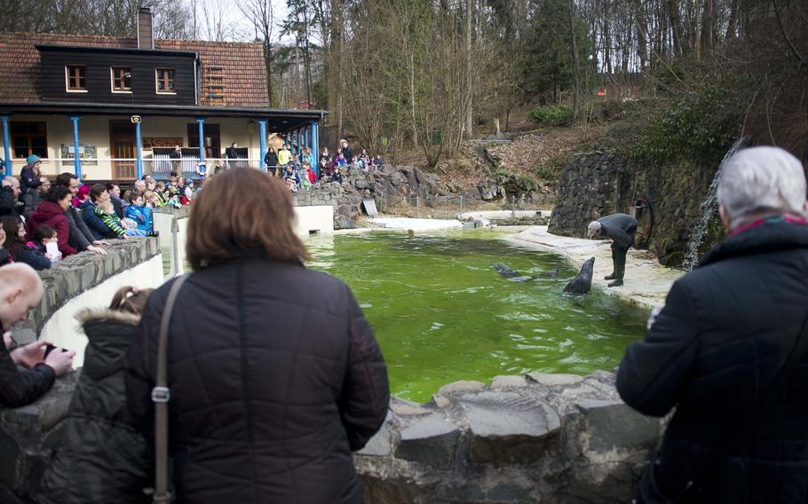 The seals at the Neunkirchen Zoo in Germany are fed daily, except Thursdays, at 10:30 a.m. and 3 p.m.