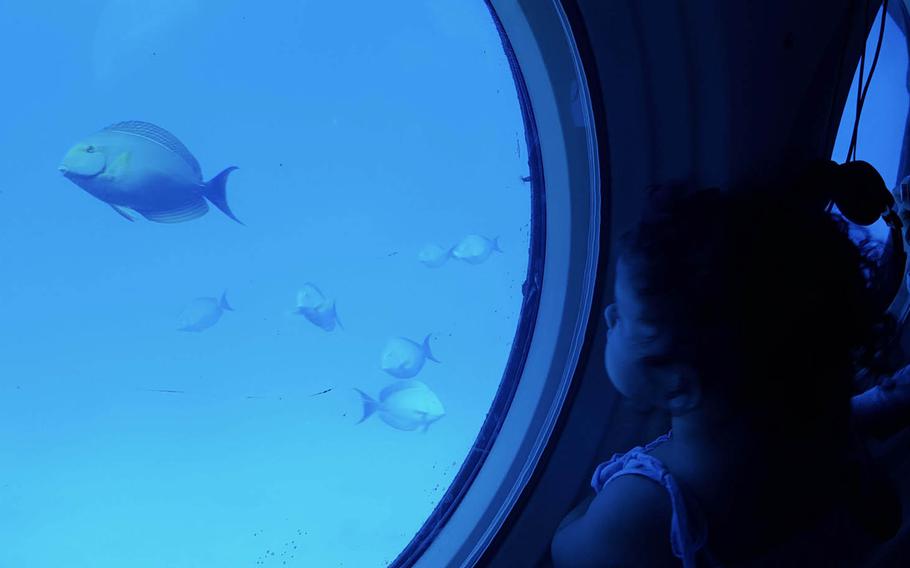A small school of fish swim by the porthole of an Atlantis submarine during a recent tour in Hawaii.