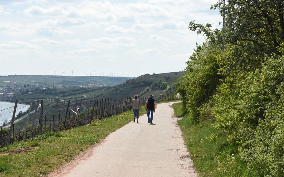 Walkers stroll along a sun-drenched slope on the River Rhine Terrace Trail near Nierstein, Germany.