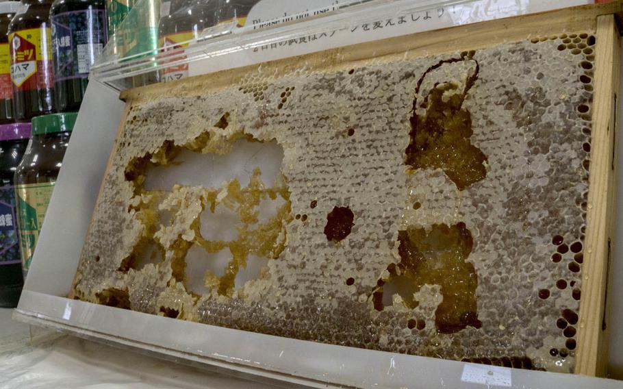 Visitors can try honeycomb honey at Kohamas Honey on Okinawa.