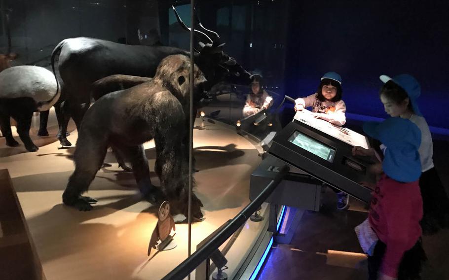 Children explore the touchscreens explaining various animals on display at the National Museum of Nature and Science in Tokyo.