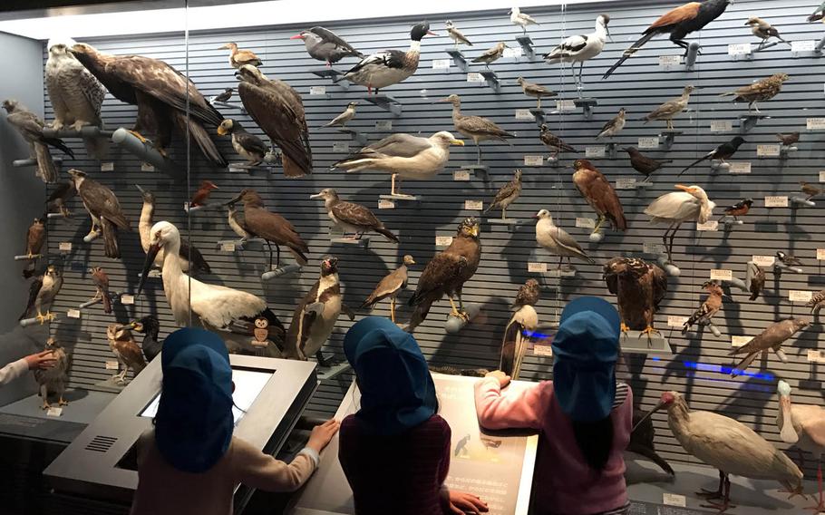 Children gaze at a display of birds at the National Museum of Nature and Science in Tokyo.