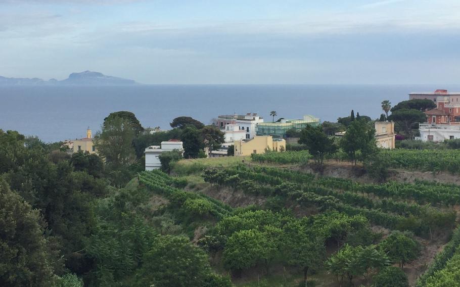 A stunning view of the Mediterranean near Ristorante I Primi, which moved from Mergellina last year to a hilltop venue in the Posillipo area.