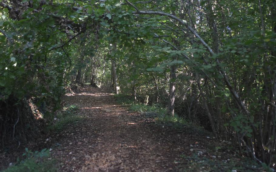 The bottom part of the trail from Gorgazzo to Mezzomonte is actually more of a rough road. It's the only part of the trail that's wide enough to walk alongside someone else.