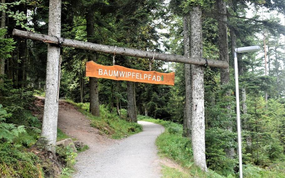 A short hike from the parking lot presents ground-level views of the forest before climbing into the treetops via the Baumwipfelpfad in Bad Wildbad, Germany.