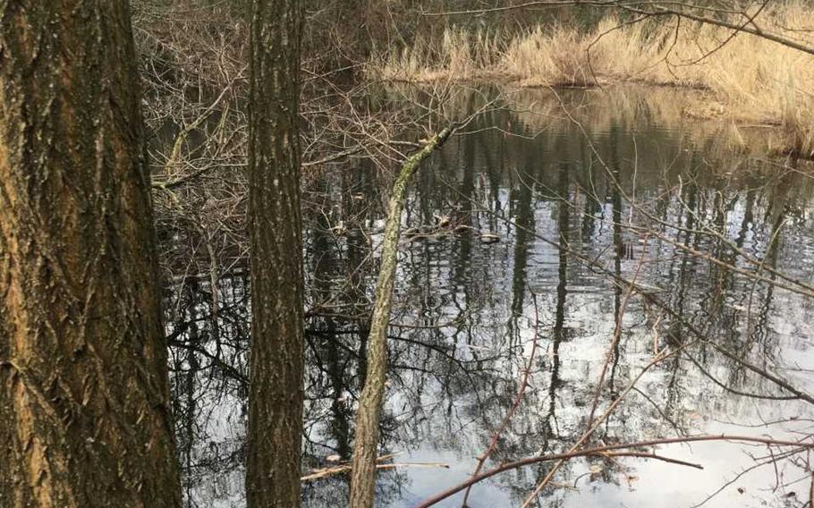 The Blaustruemflerweg is a walking trail through one of Stuttgart's wooded hillsides. The hike offers a bucolic escape from the nearby city bustle.