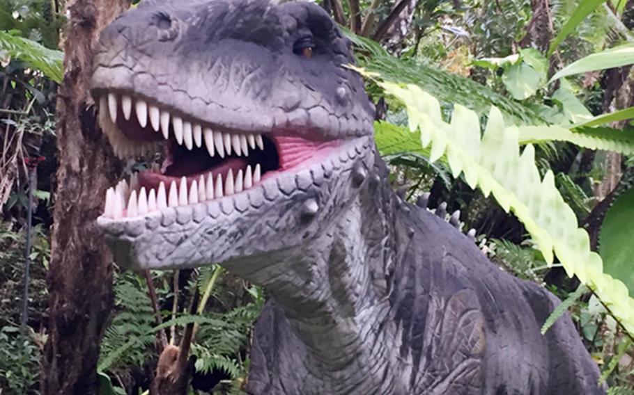 The Allosaurus and its rows of pointed teeth are just one of many attractions at Dino Park in Okinawa, Japan.