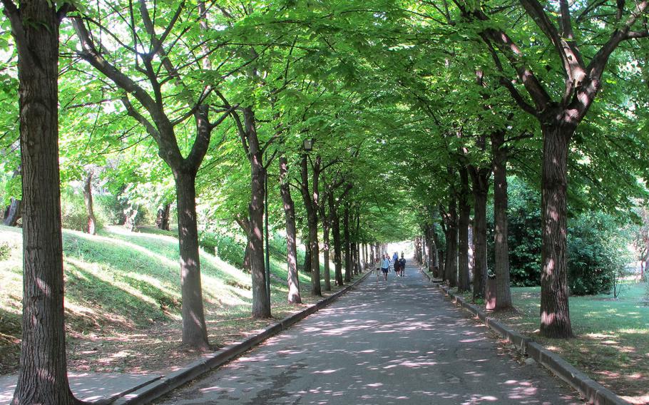 The great opera singer Maria Callas lived at Sirmione for a time. Her house is marked with a plaque and across the street is a tranquil, shady park named for her.