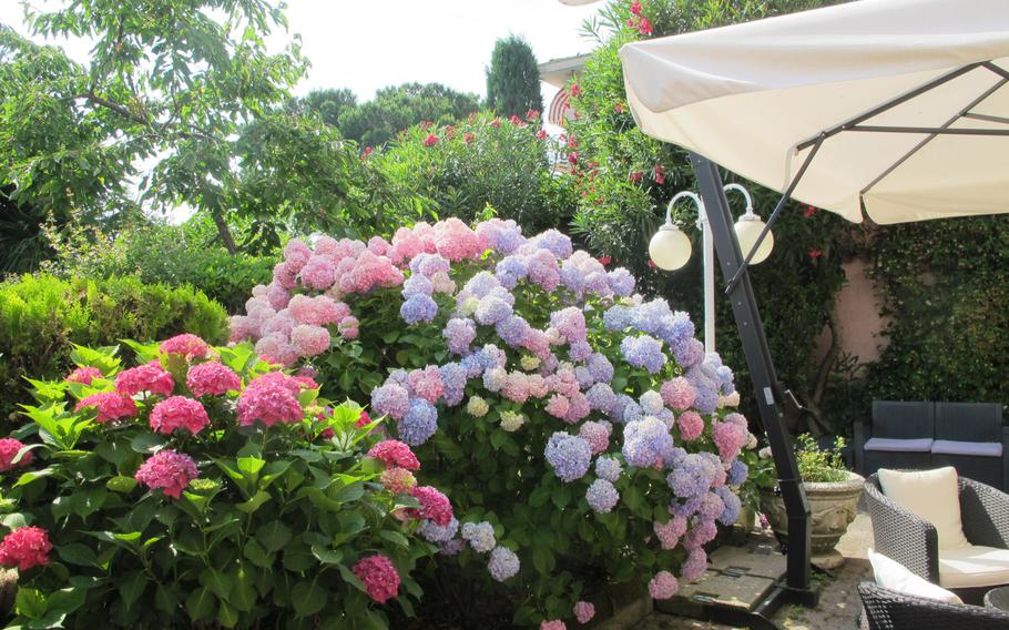 Plants bloom profusely in Sirmione, including those within its various hotel gardens.
