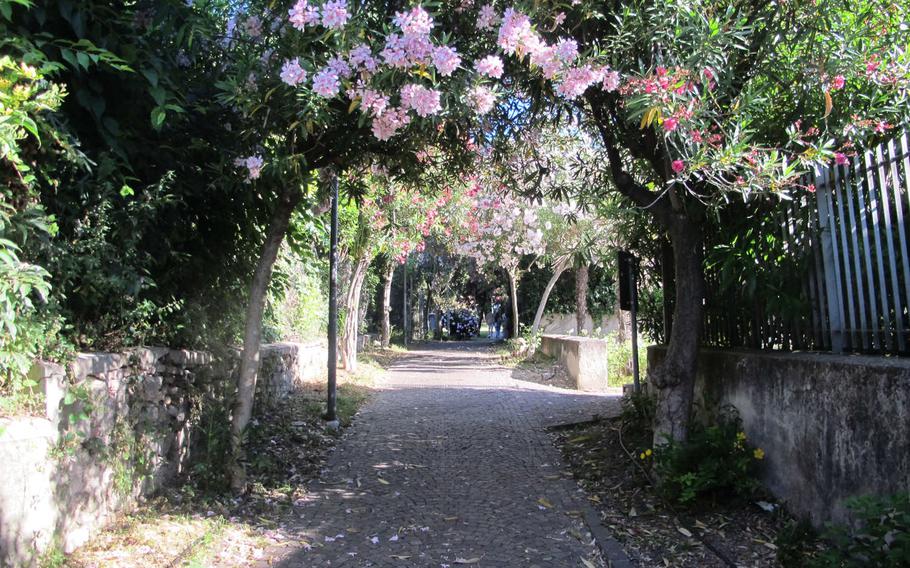 Sirmione's old town blooms with flowering bushes and perfumed paths. One of the prettiest is this oleander-lined walkway into a little park with a playground.