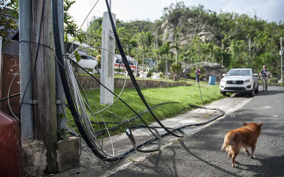 As is the case all over Puerto Rico, electric wires lie on the ground in the neighborhood where Ana Delia Figueroa lives on Nov. 12, 2017, nearly eight weeks after Hurricane Maria swept over the island.