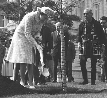 Queen Elizabeth II plants a commemorative oak tree at Akasaka Palace in 1975.