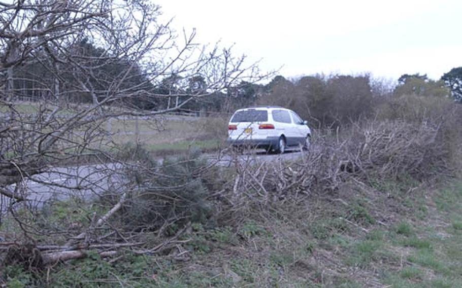 Ros Norman contends the flattened hedge separating her horse farm from Barton Mills Road, near Mildenhall, is evidence local officials should implement a speed limit along the stretch near a dangerous curve.