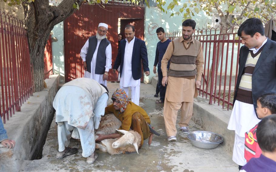 Ghullam Jamili, left stands with his sons as the butcher prepares a sheep for slaughter ahead of the Eid holiday on Nov. 16. From left, Jamili, his son Javid, his son Hamid, son-in-law Atikullah Atiq and his son Anwar, far right.