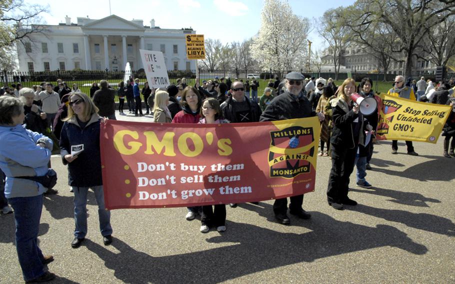 People protesting the use of genetically modified organisms in food protest in front of the White House, sharing Pennsylvania Avenue with the anti-war ANSWER Coalition and groups from several Middle Eastern and African countries in turmoil.