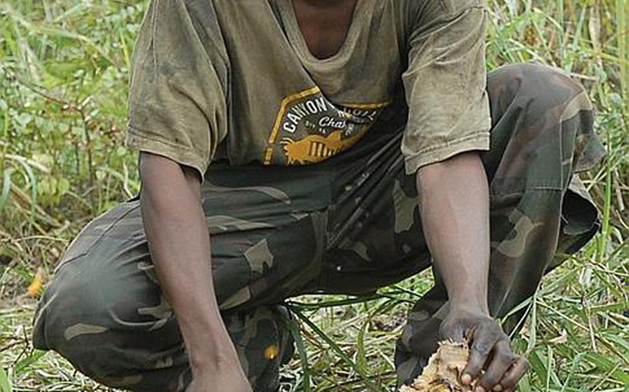 In Congo, troops frequently face the challenge of not getting enough food, whether on base or in the field. As a result, soldiers have been known to steal from the population. At Camp Base in Kisangani, a hungry soldier makes do with some fresh palm oil seeds after a hard day of training.