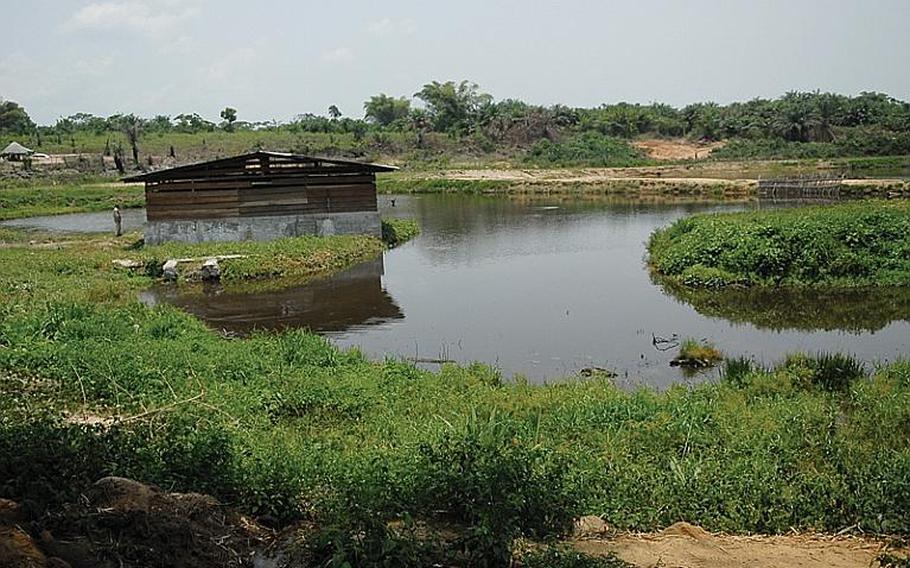 Man-made ponds at Camp Base serve as fish farms. Thousands of tilapia have been put in the ponds, but there has been a problem with fish theft at the base.