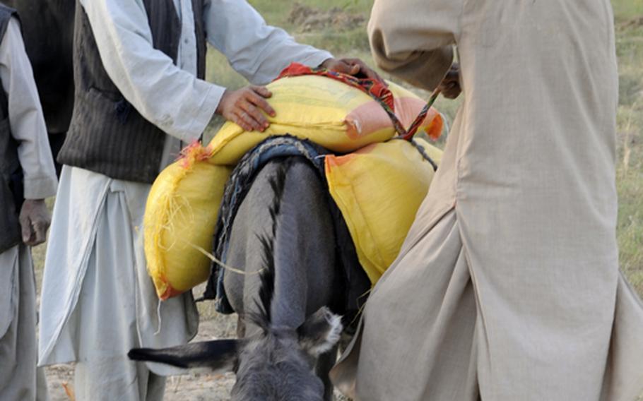 Local village members load a donkey with bags of rice near Forward Operating Base Bala Murghab in 2008.  The gallows humor of war had some U.S. soldiers in Wardak shaking their heads at rumors of a donkey-borne improvised explosive device, or "DBIED."