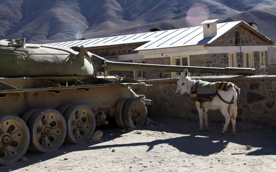 A donkey is shown tied to an old Russian tank in the Day Mirdad District, Wardak province, Afghanistan, in January.  The gallows humor of war had some U.S. soldiers in Wardak shaking their heads recently at rumors of a donkey-borne improvised explosive device, or "DBIED," in this valley.