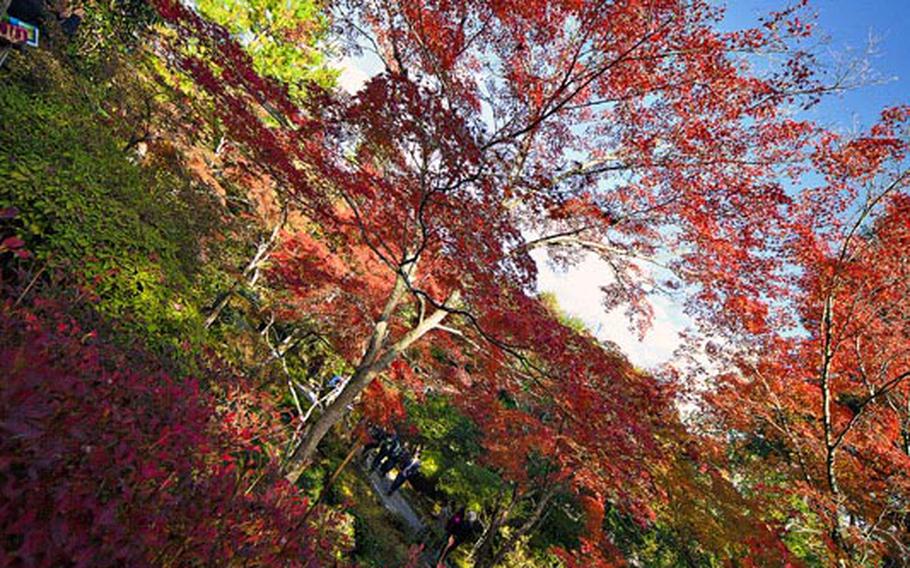 Beautiful colors were on display at the Tenryuji Temple in Kyoto, Japan.