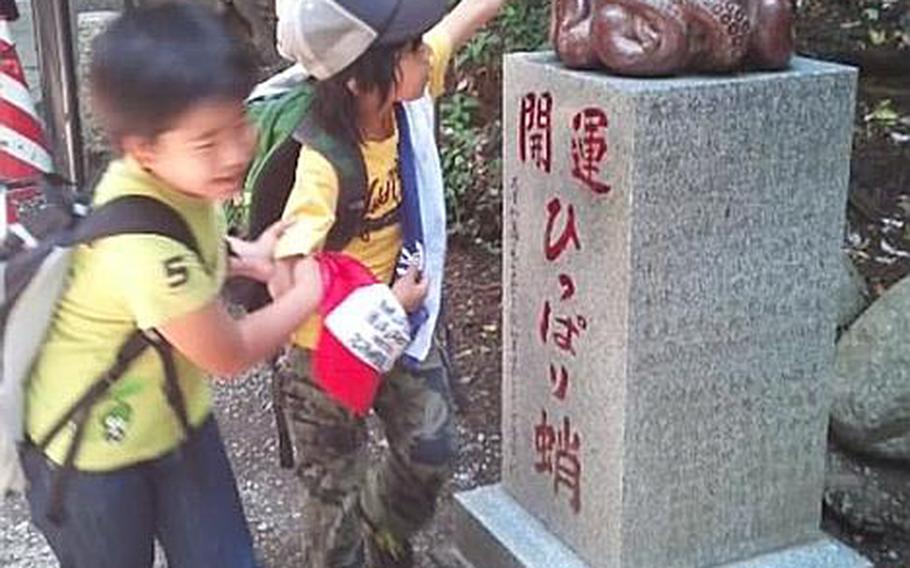 School kids check out the "octopus tree" at Mount Takao, Japan.