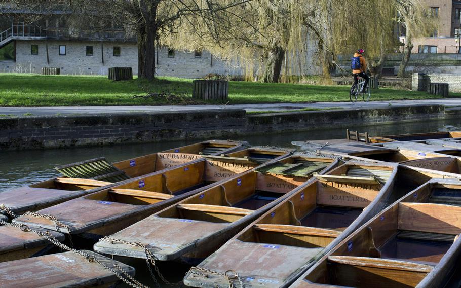 Boats belonging to Scudamore's Punting Co. wait in the river for passengers at the company's boatyard in Cambridge, England, in early January. The company offers tourists the opportunity to be poled down the river or to rent a boat for private use.