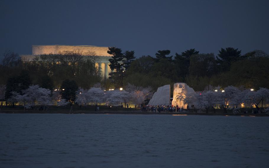 The Lincoln Memorial and the Martin Luther King Jr. Memorial are partially hidden by the Cherry Blossoms on Saturday, April 12, 2014.