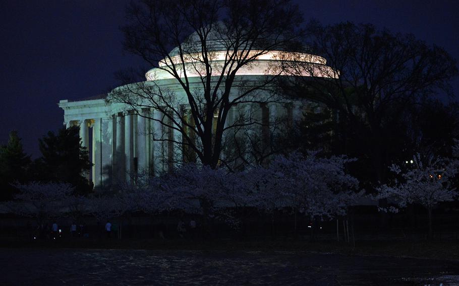 Cherry Blossoms are hard to spot against the lit-up Jefferson Memorial on Saturday night, April 12, 2014. 