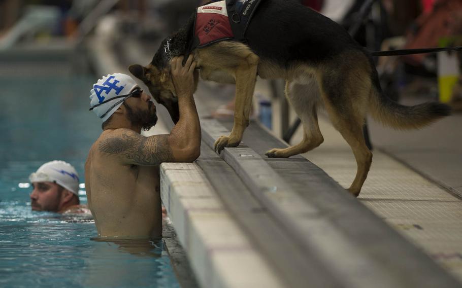 Air Force athlete August O'Niell kisses his service dog, Kai, during warmups for the swimming portion of the 2014 Warrior Games at U.S. Olympic Training Center, Colorado Springs, Colo., on Tuesday, Sept. 30, 2014. Athletes from throughout the Department Of Defense, who compete in paralympic style events for their respective military branch.