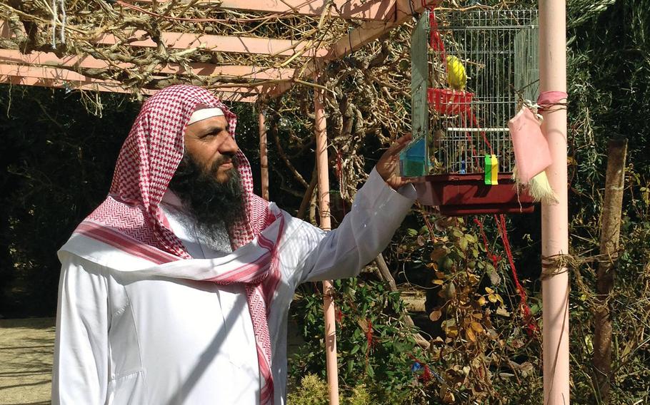 Sheikh Mohammad al-Chalabi in his garden in Jordan's southern city of Maan, on Jan.24, 2105. The leader of a militant Salafist group seeking to establish Islamic rule said a continuing crackdown against Islamist groups and support for U.S. military action could produce a backlash.