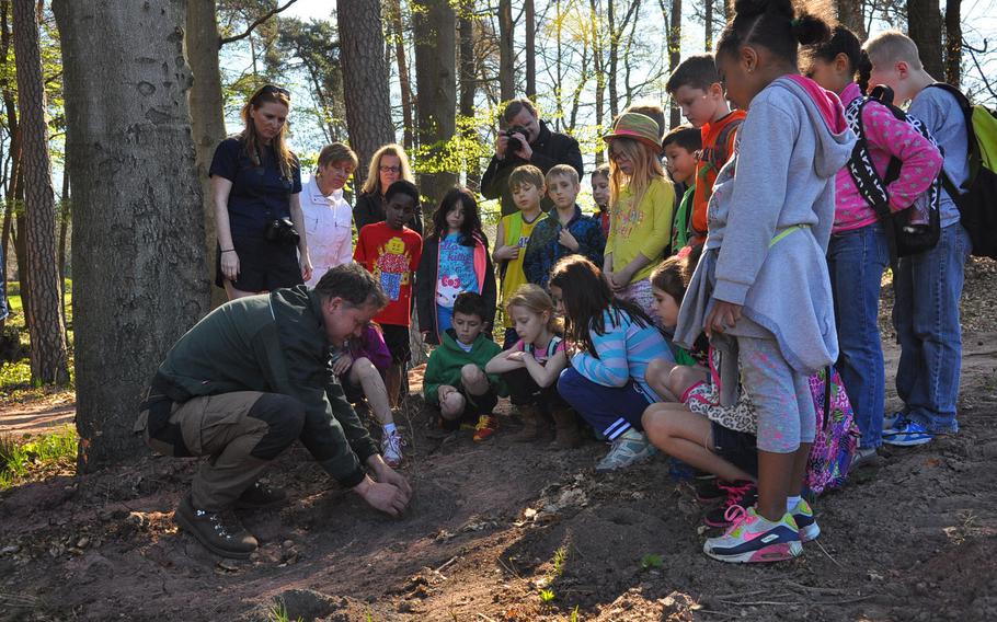 Second-graders at Ramstein Elementary School watch with their teacher, Yvonne Engels, as Ulrich Knuff, the German forester for U.S. military bases in the Kaiserslautern area, demonstrates how to plant a birch tree sapling. As part of Earth Day on Wednesday, April 22, 2015, the students planted 300 birch tree saplings in a barren area on next to the driving range on Ramstein Air Base, Germany.