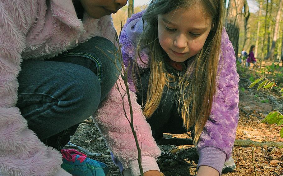 Imani Salmon, left, and Jordyn Bloss plant a birch tree sapling at Ramstein Air Base, Germany, on Wednesday, April 22, for Earth Day. The second-graders' class at Ramstein Elementary School planted 300 birch saplings in a barren area next to the base driving range.