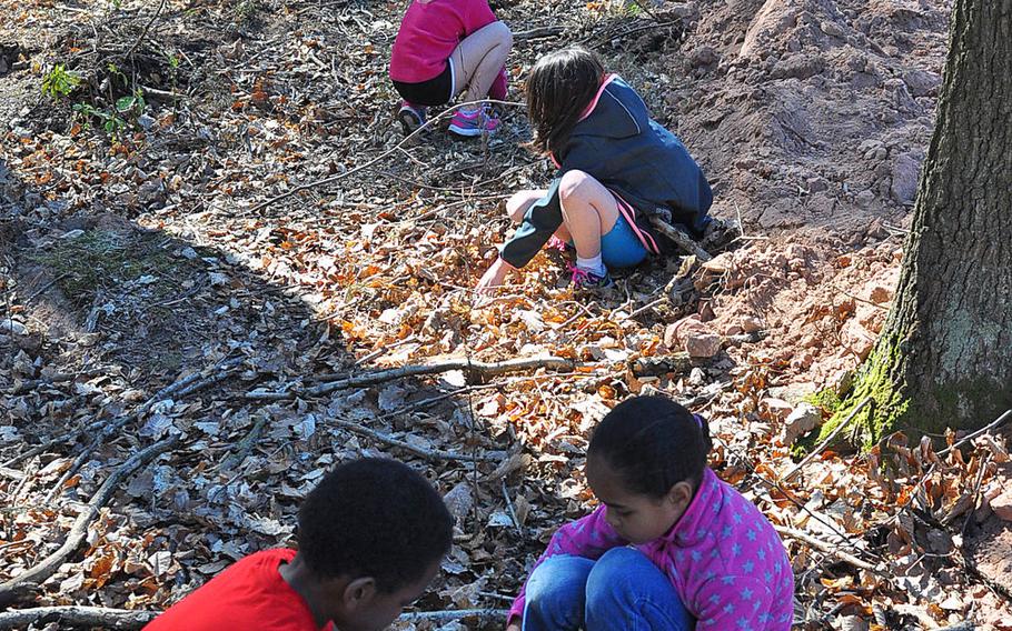 Second-graders at Ramstein Elementary School planted 300 birch tree saplings on Wednesday, April 22, 2015, next to the driving range on Ramstein Air Base, Germany. The students worked with their teacher, Yvonne Engels, and the base forester and biologist on the project.