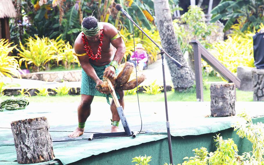 A Samoan demonstrates the art of husking a coconut using the pointed end of a bamboo stick at the Polynesian Cultural Center.