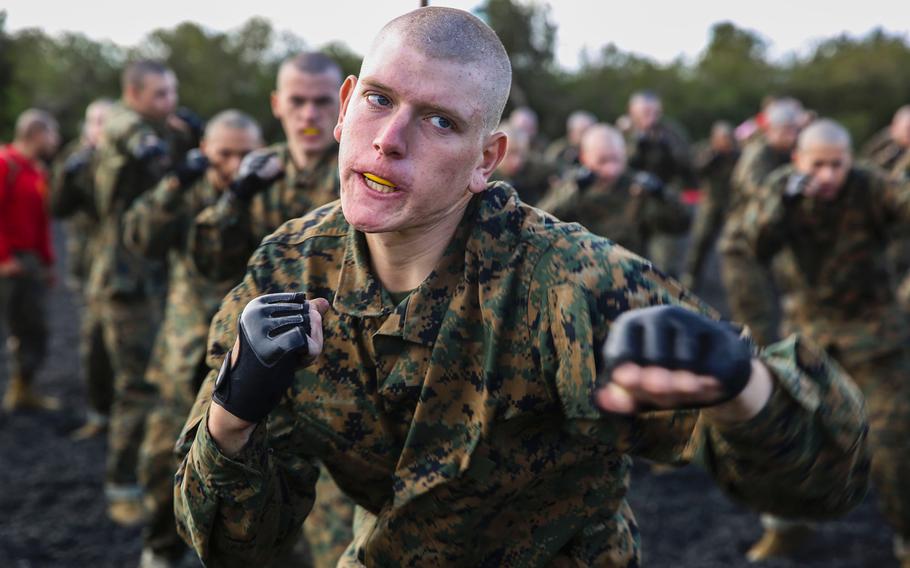 A recruit with Company B, 1st Recruit Training Battalion, executes a rear hand punch during a Marine Corps Martial Arts Program session at Marine Corps Recruit Depot San Diego, Nov. 25.