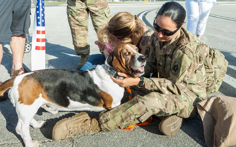 Friends, family and even pets were on had March 10, 2016, when soldiers from the 164th Air Defense Artillery Brigade's 1st Battalion, 265th Air Defense Artillery Regiment returned home to Daytona, Fla.