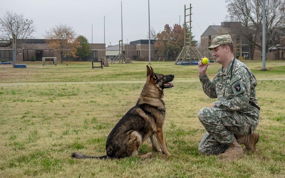 Matty, a Czech German shepherd, served as a bomb-detection dog in Afghanistan with his handler, Army Spc. Brent Grommet. The two were reunited after three years, and now Matty is Grommet's support dog.