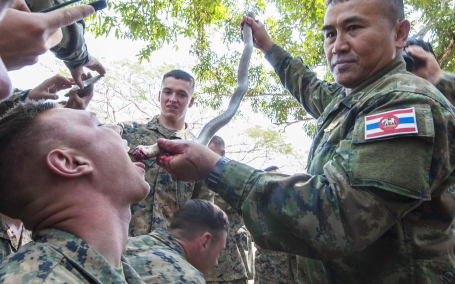 A Thai jungle-survival training instructor pours cobra blood into the mouth of a Marine during Cobra Gold drills underway in Thailand.