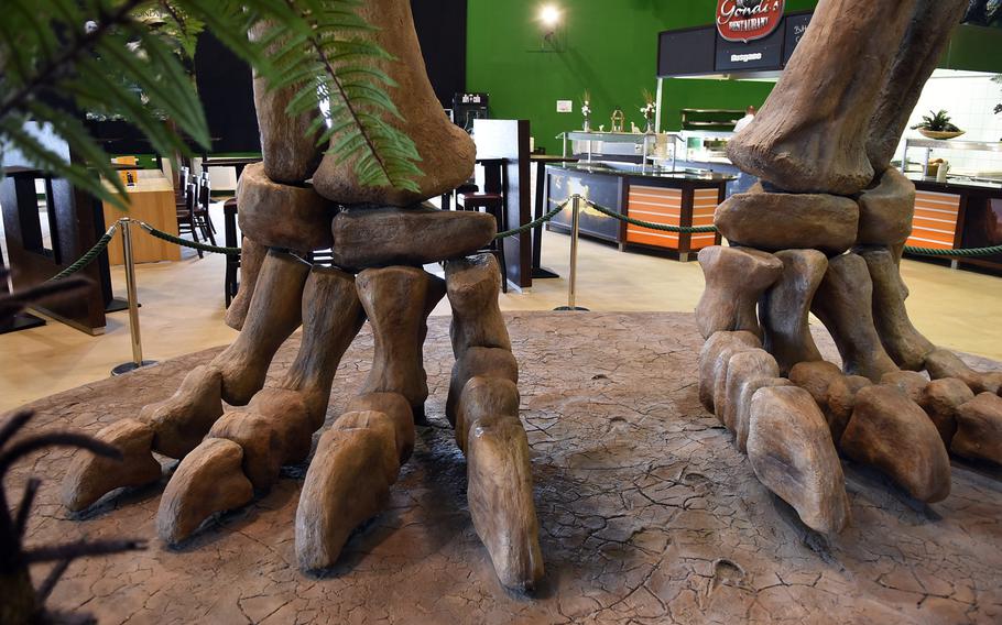 Giant replica dinosaur bones take up space in the main entry area inside Gondwana - Das Praehistorium, an interactive dinosaur museum near Kaiserslautern, Germany.