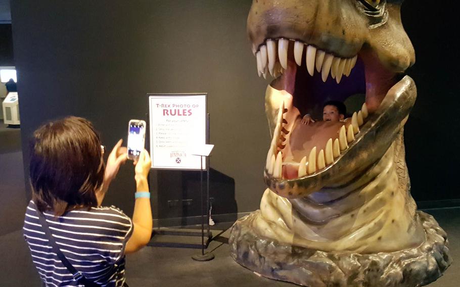 One, two, three ??? say, "Teeth!" Visitors take photos at the Expedition: Dinosaur exhibit at the Bishop Museum in Honolulu.