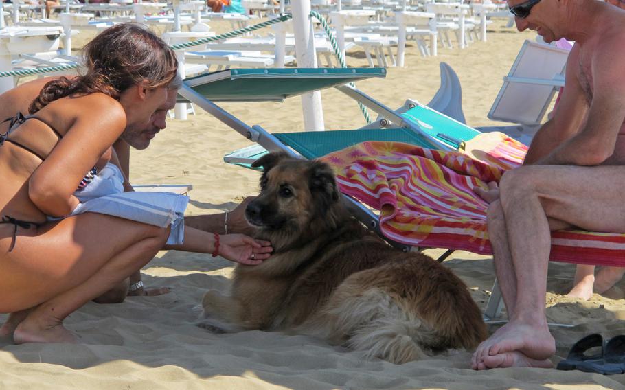 Bau Bau Beach in Jesolo, Italy, lets dogs and their owners enjoy sun, sand and sea together. It's also great place to meet other dogs.