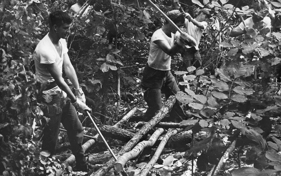 Spc. Eugene Clarke, left, with the 1st Battalion, 31st Infantry Regiment, 7th Infantry Division, and other soldiers clear trees near the DMZ in 1967.