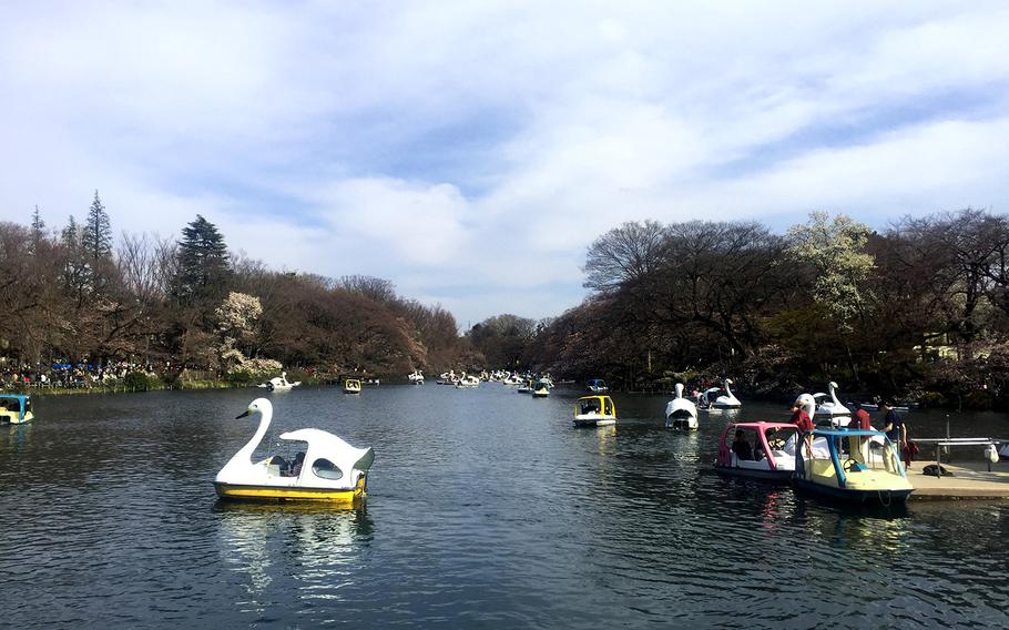 For over 100 years, Tokyo's Inokashira Koen has served as a gathering place for families and young people, who flock to see its scenic landscape complete with a large natural pond.