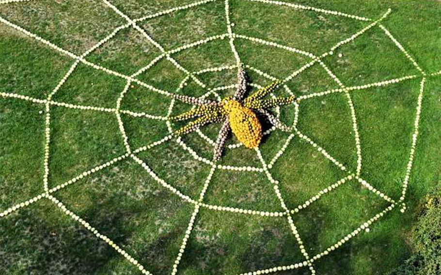 Pumpkins are arranged in the shape of a spider and web at the Ludwigsburg pumpkin exhibition in Ludwigsburg, Germany. The event is billed as the largest of its kind in the world.
