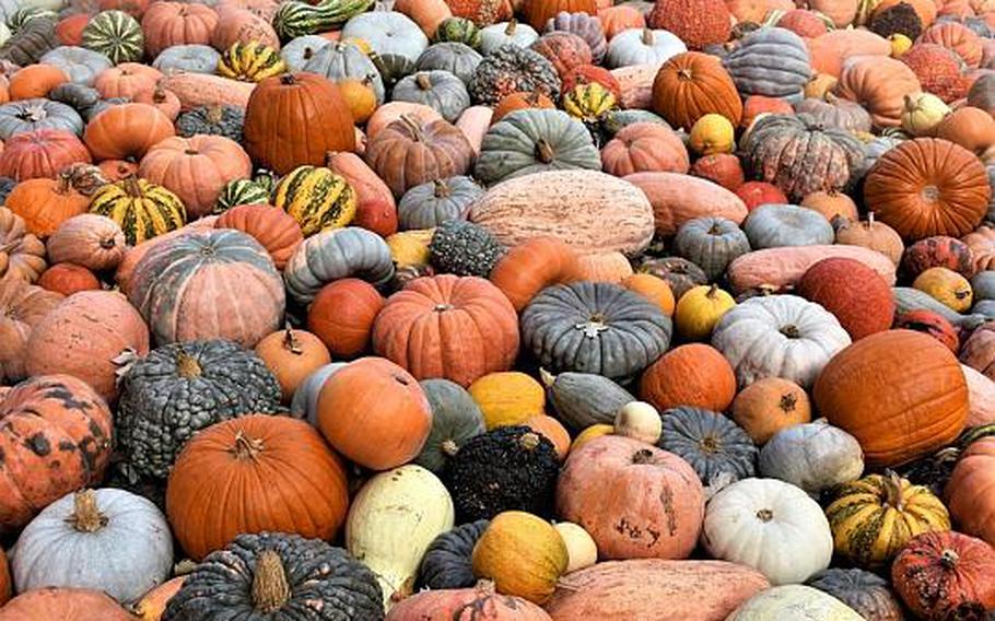 Pumpkins of various sizes and colors are piled into a display at the Ludwigsburg pumpkin exhibition in Ludwigsburg, Germany.