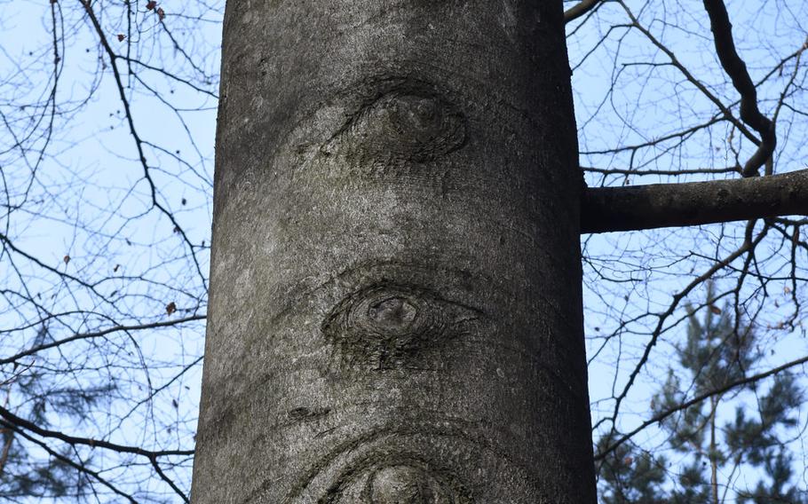 I felt someone may be watching me during a solo winter hike in the woods behind Hohenecken castle in Germany on Feb. 6, 2019.