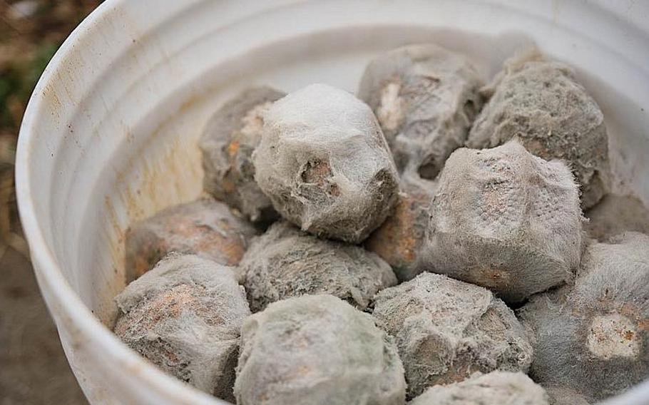 Biodegradable balls containing effective microorganisms were used by soldiers and volunteers at the Shincheon River clean up near Camp Casey, South Korea, Thursday, March 21, 2019.