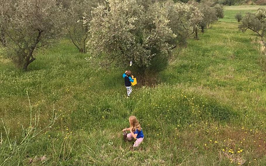 In Tuscany, it's possible to stay in farmhouses in the countryside, like this olive tree plantation in Iano, where kids were hunting for eggs on Easter.